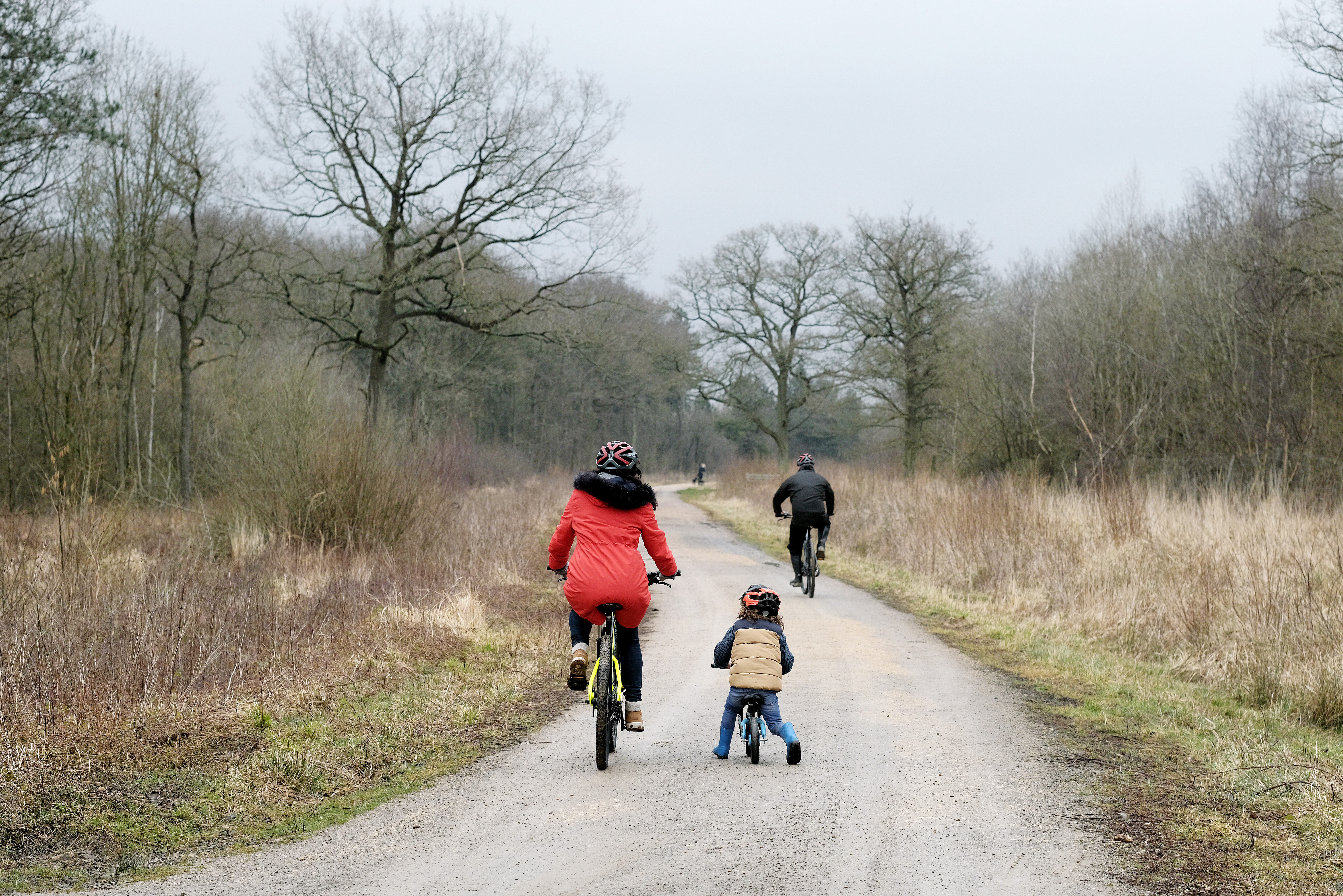 Fermyn Woods | Forestry England